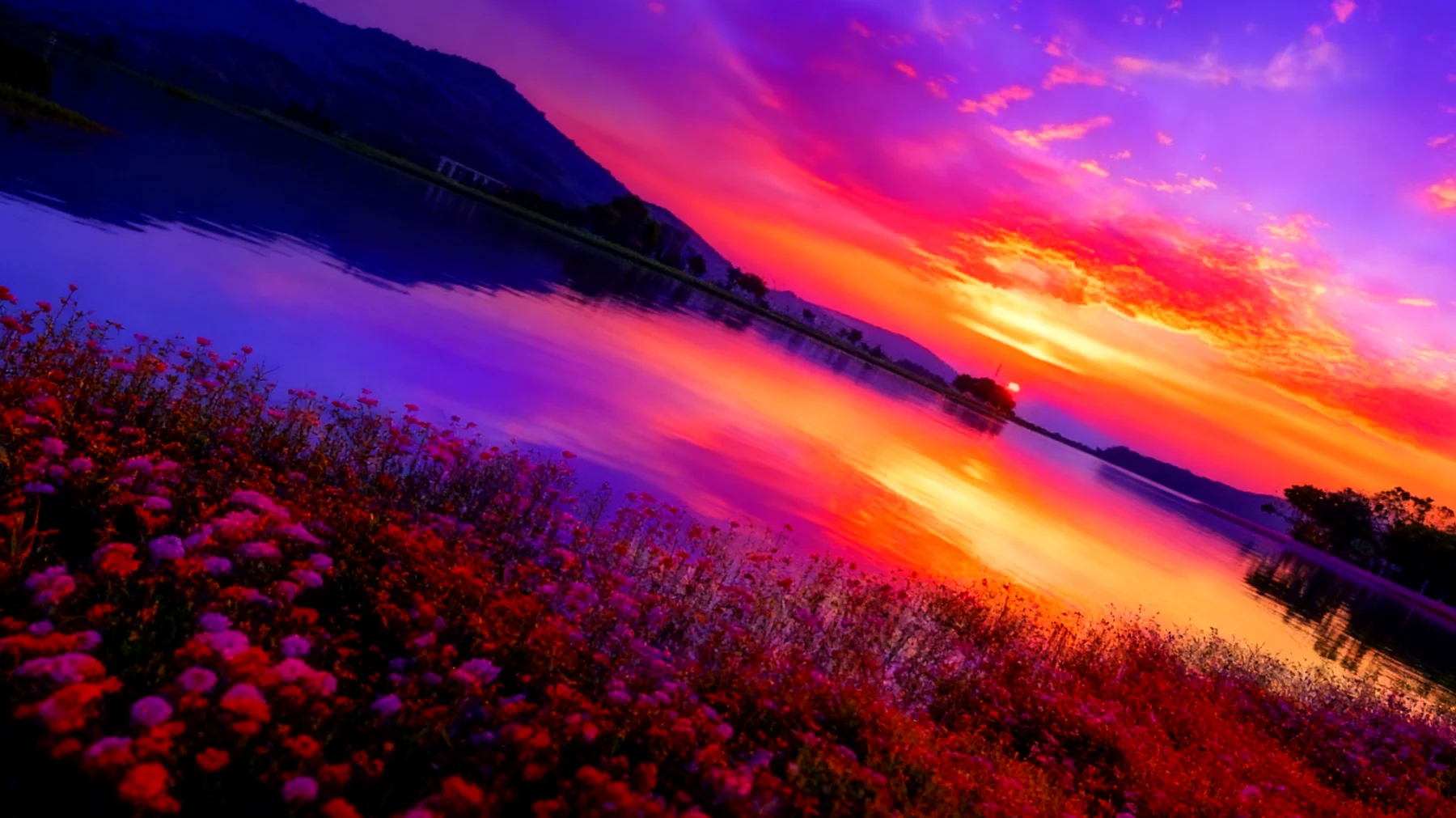 Beautiful 2026-04-09T13:04:38.491Z"